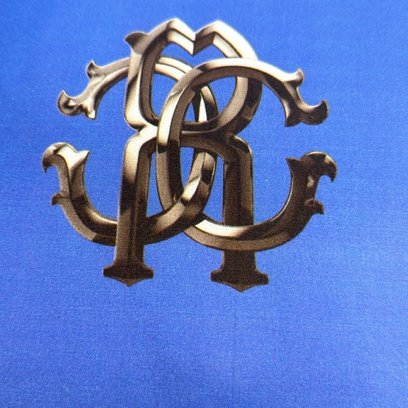 ROBERTO CAVALLI NWT NEW TAG XLARGE BLUE GOLD BLACK LEOPARD ACCENT THROW PILLOW - Picture 4 of 15